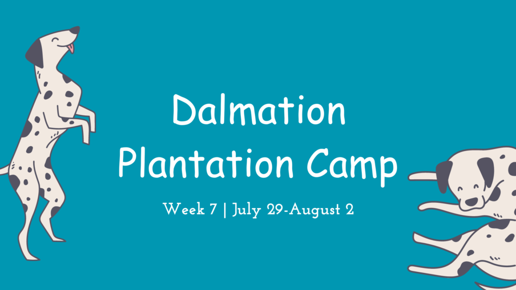 7 SUMMER CAMP 2024: Week 7: Dalmatian Plantation Camp OMEGA Gymnastics